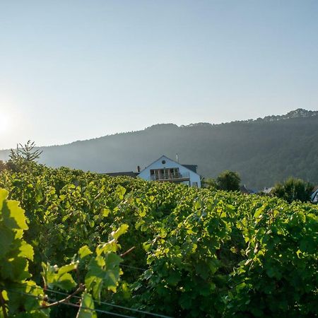 Weingut Johanneshof Minheim Eksteriør billede