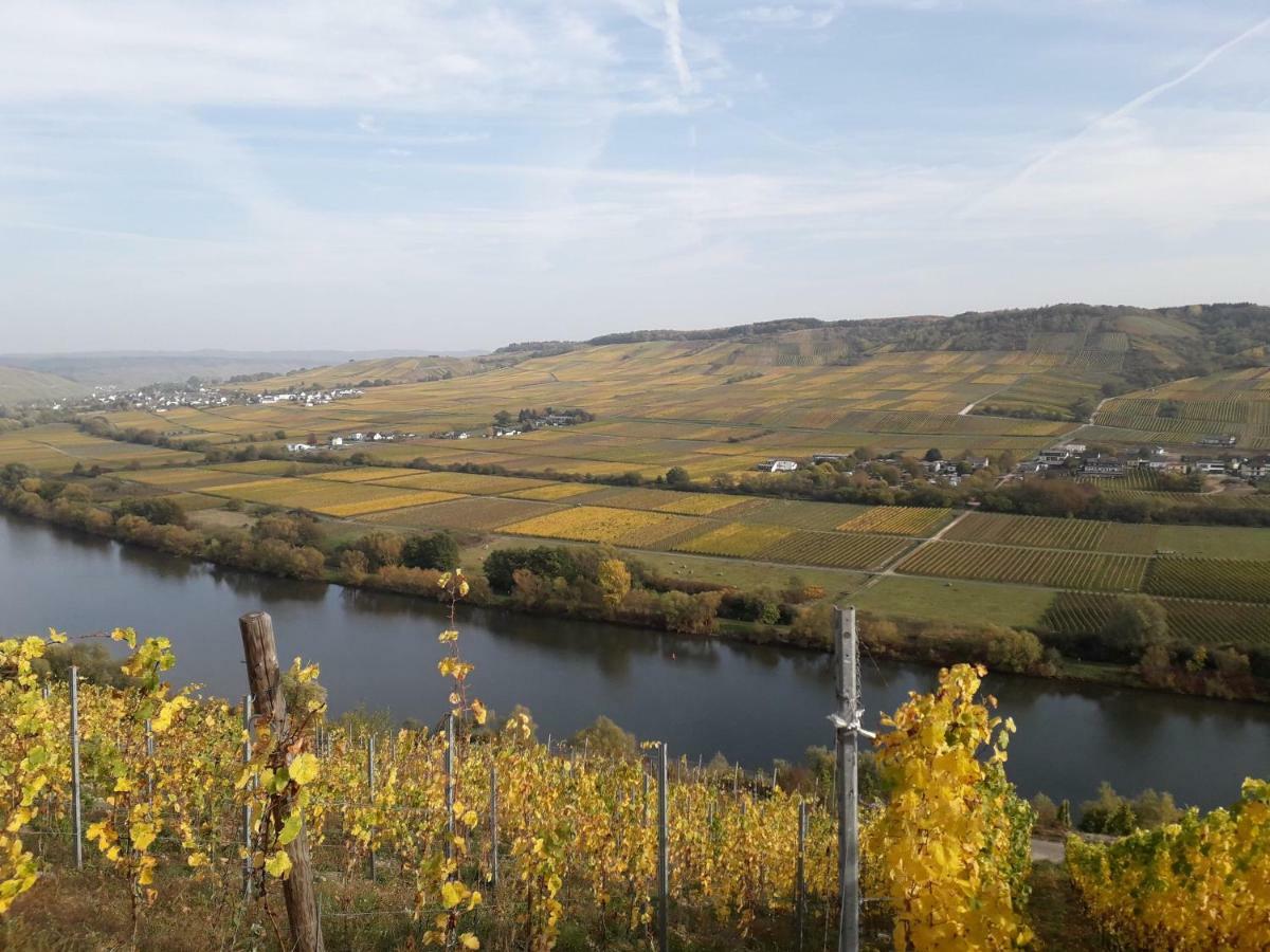 Weingut Johanneshof Minheim Eksteriør billede