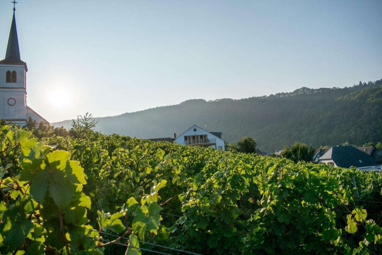 Weingut Johanneshof Minheim Eksteriør billede