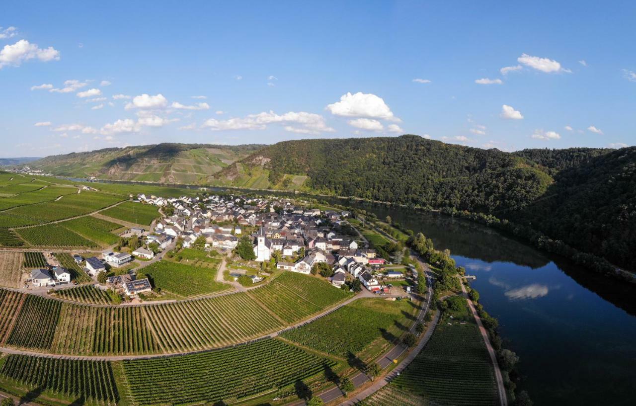 Weingut Johanneshof Minheim Eksteriør billede