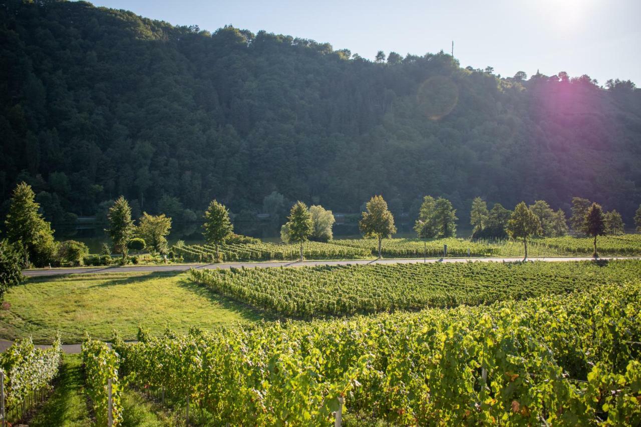 Weingut Johanneshof Minheim Eksteriør billede